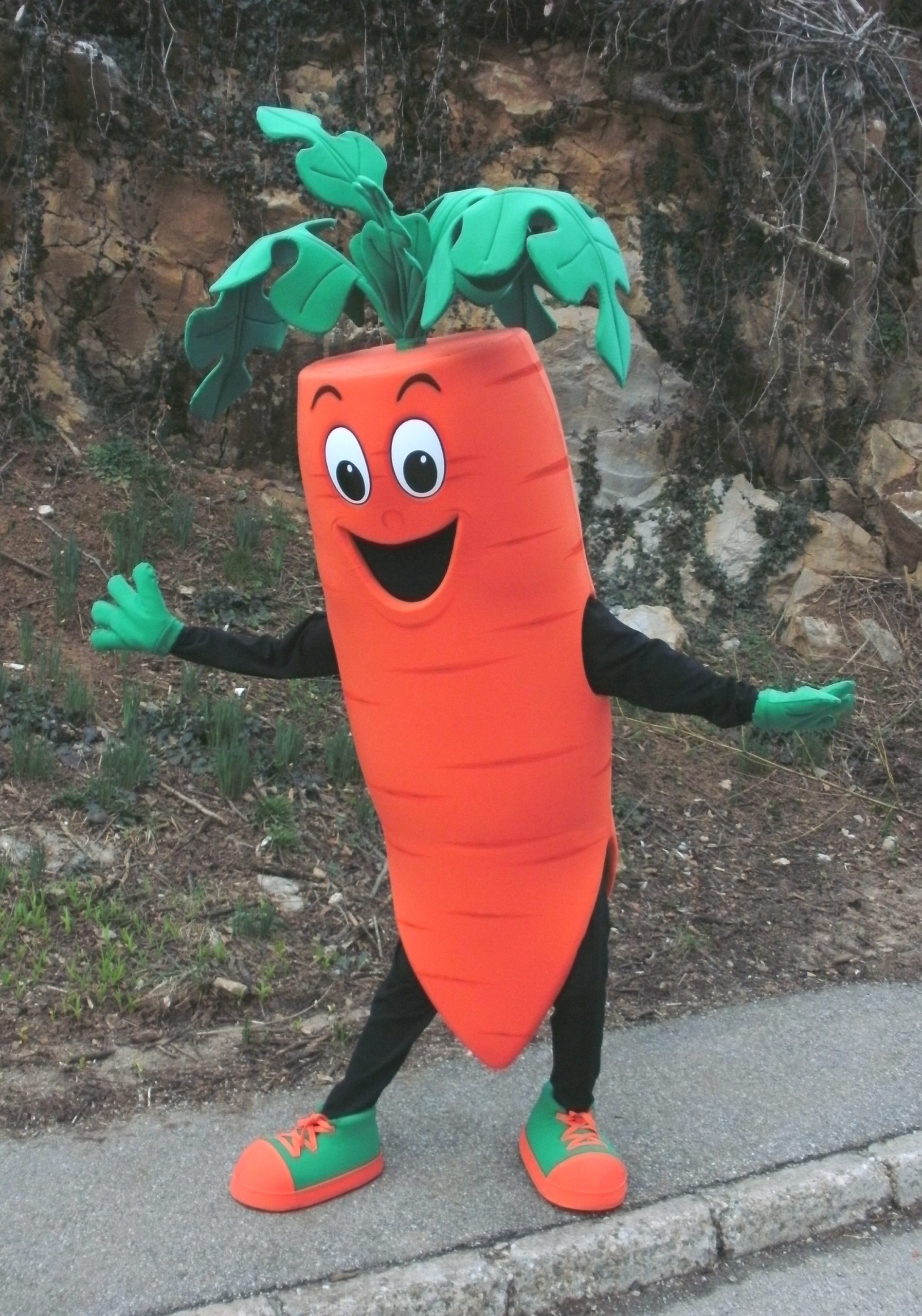 mascot carrot mascot carrot